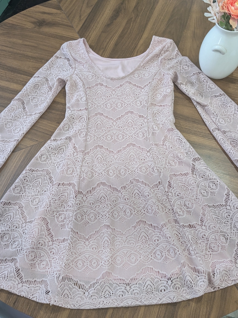 Women's Pale Pink Lace Fit & Flare Mini Dress